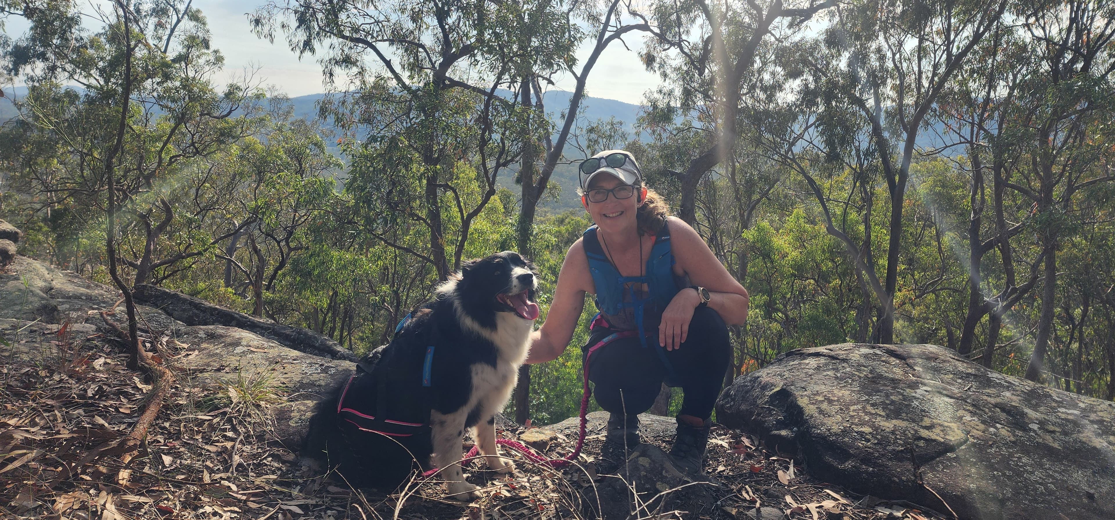 Piper, a border collie, on a South East Queensland trail